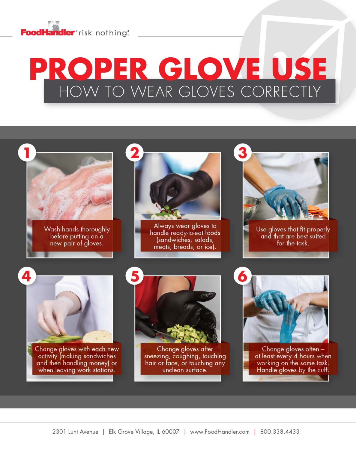 Downloads FoodHandler